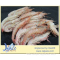 frozen pink shrimp IQF